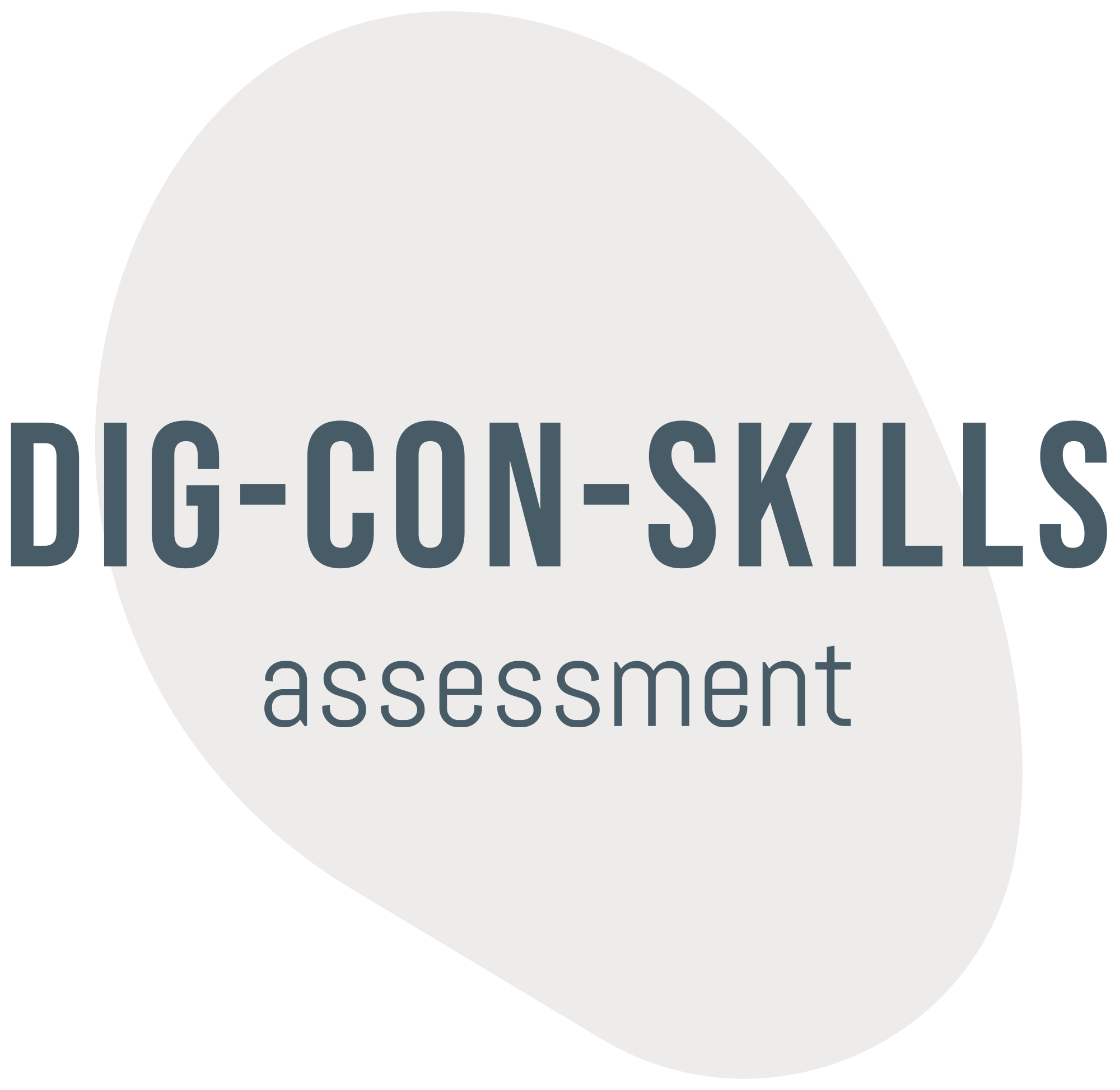 Digconskills logo